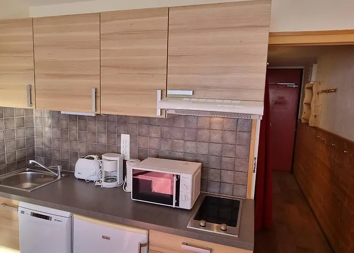 Confortable Au Pied Des Pistes Pour 4 Personnes - Fr-1-181-2564